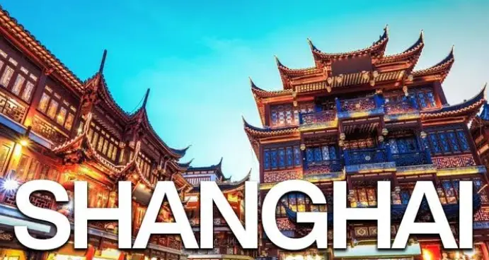 上海海昌海洋公园亲子游玩指南：路线规划这么走才不亏
